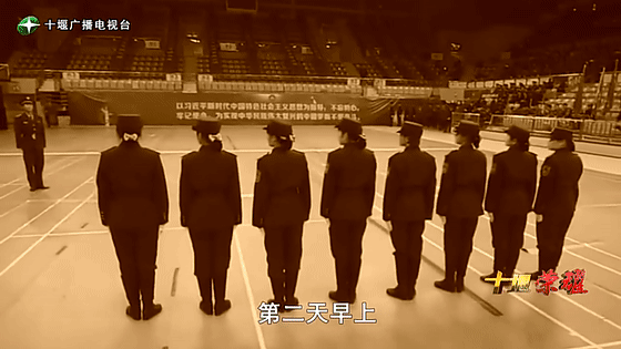 創(chuàng)業(yè)是一條無比艱辛的路，創(chuàng)新更是無限風光在險峰。在男性為主導的商海里，女性創(chuàng)業(yè)創(chuàng)新需要鼓足十萬分的勇氣和力量，是挑戰(zhàn)未來成功的小概率事件。而十堰姑娘楊麗便是這小概率事件中的一個傳奇，也是女性創(chuàng)業(yè)創(chuàng)新的榜樣。今天就來認識這位傳奇女性-興千田集團楊麗。
