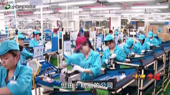 創(chuàng)業(yè)是一條無比艱辛的路，創(chuàng)新更是無限風光在險峰。在男性為主導的商海里，女性創(chuàng)業(yè)創(chuàng)新需要鼓足十萬分的勇氣和力量，是挑戰(zhàn)未來成功的小概率事件。而十堰姑娘楊麗便是這小概率事件中的一個傳奇，也是女性創(chuàng)業(yè)創(chuàng)新的榜樣。今天就來認識這位傳奇女性-興千田集團楊麗。